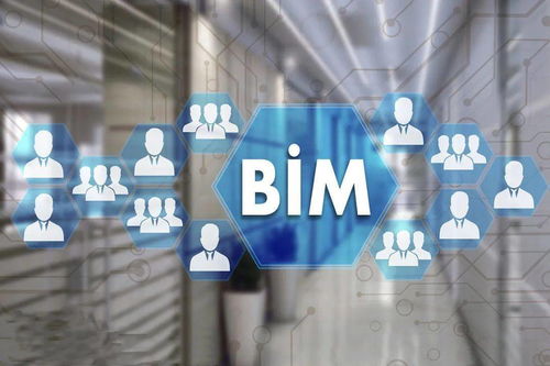 全過程工程咨詢服務中BIM軟件開發的創新應用